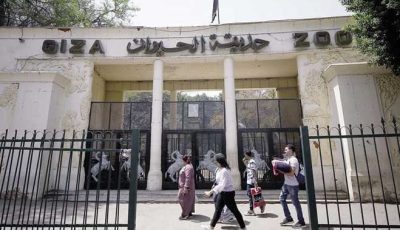موعد افتتاح حديقة الحيوان بالجيزة بعد التطوير وأسعار التذاكر