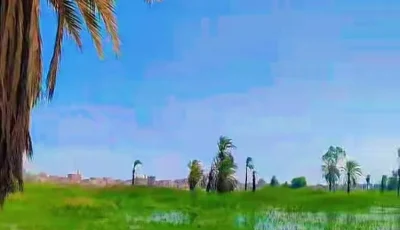 بعد التحذير من ارتفاع منسوب النيل.. وكيل «ري قنا» لـ«أهل مصر»: زيادة معتادة وغرفة العمليات لم ترصد أي خسائر