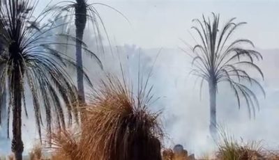 السيطرة على حريق في مخلفات بجوار معبد موت داخل حرم معابد الكرنك بالأقصر| بث مباشر