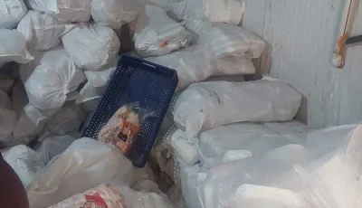 محافظ القاهرة: ضبط 76 ألفًا و461 طن لحوم ومقطعات دواجن مجهولة المصدر