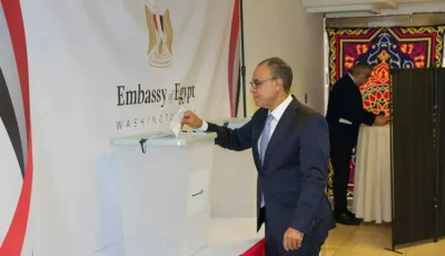 وزير الخارجية يؤكد أهمية تكاتف جهود أبناء الوطن في الداخل والخارج لدعم المصالح المصرية والدفاع عنها