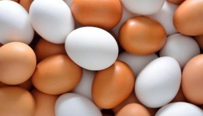 الأحمر والبلدي بكام؟.. سعر كرتونة البيض اليوم الأحد 5 أكتوبر 2025