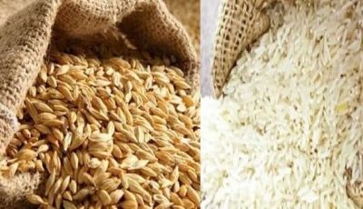 سعر طن الأرز الشعير اليوم الجمعة 3 أكتوبر 2025 في الأسواق